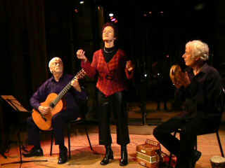 P1000766.jpg (43047 octets)