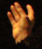 main_haut.jpg (19998 octets)