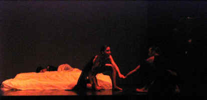 IMG_8352.JPG (37688 octets)